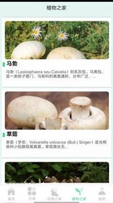 动植物之家正版图2