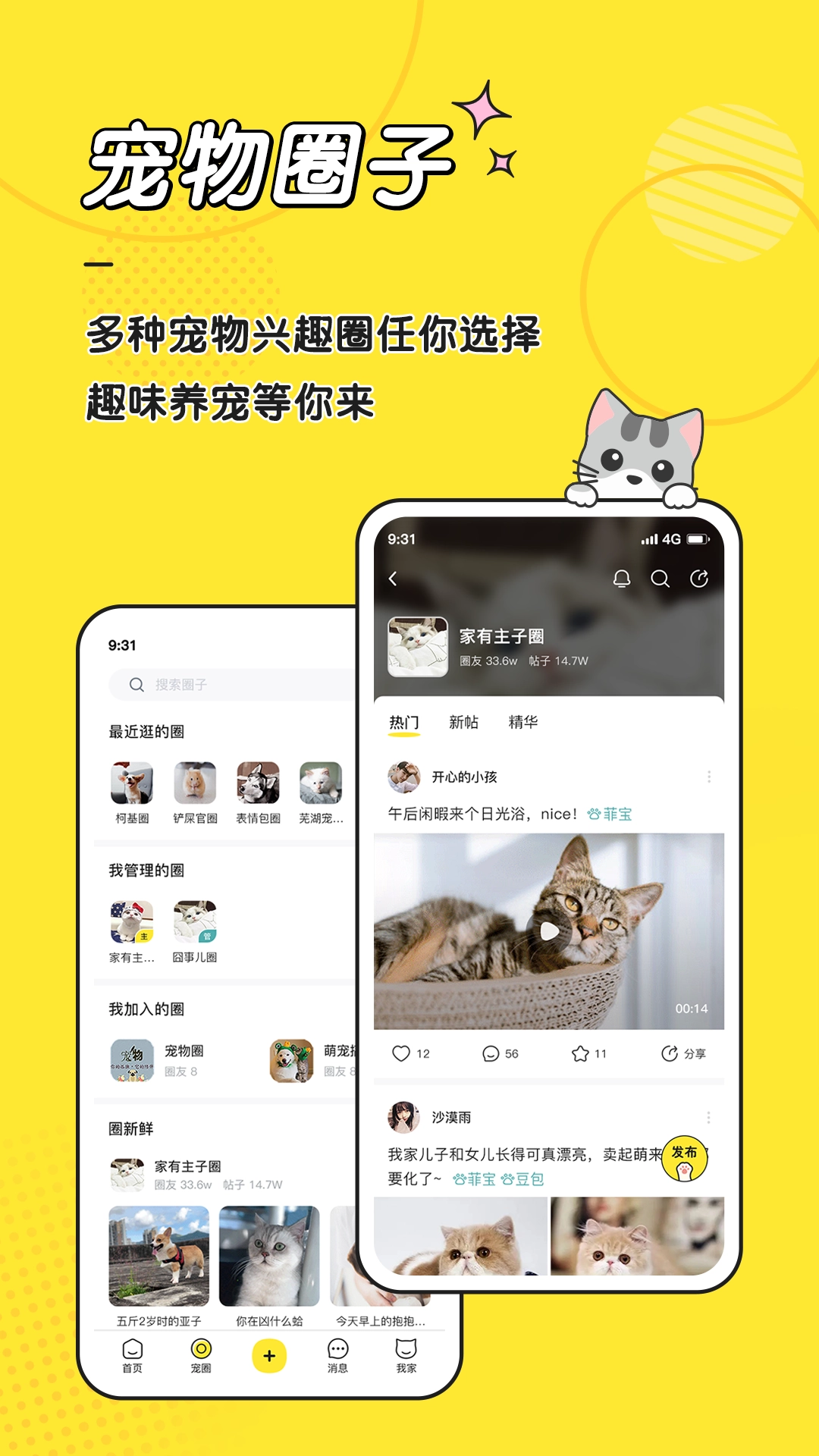 宠圈正版图4