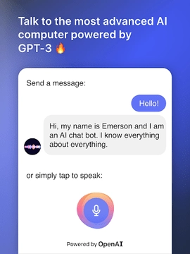 Emerson正版图3