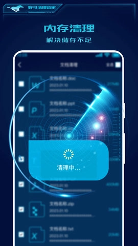 野马清理专家原版图1