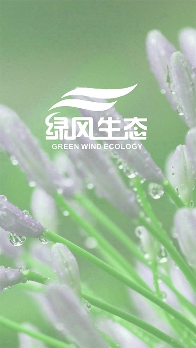 绿风网业官方正版图2