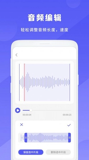 简洁录音机官方最新版图3