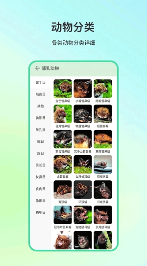 动物百科最新版图3