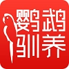 鹦鹉驯养最新免费版