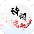 诗词达人