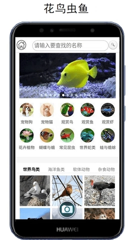 万物识别直装版图3