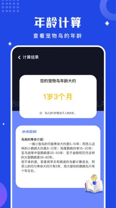 鸟语语言翻译器安卓直装版