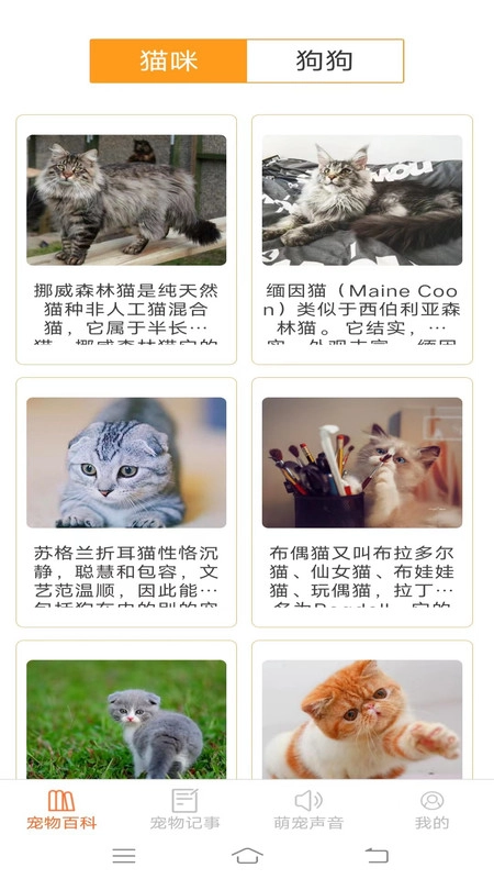 宠物多多无广告版图2