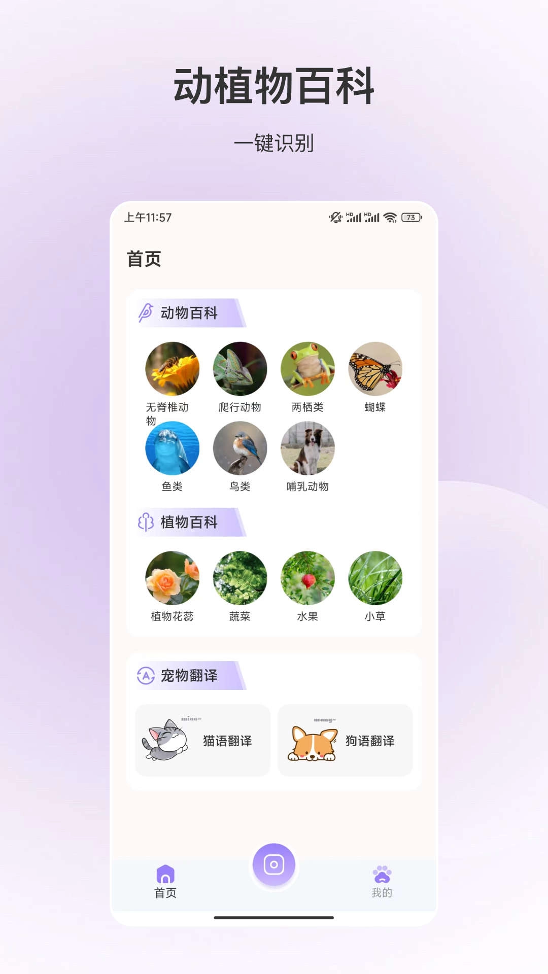 动物识别图1