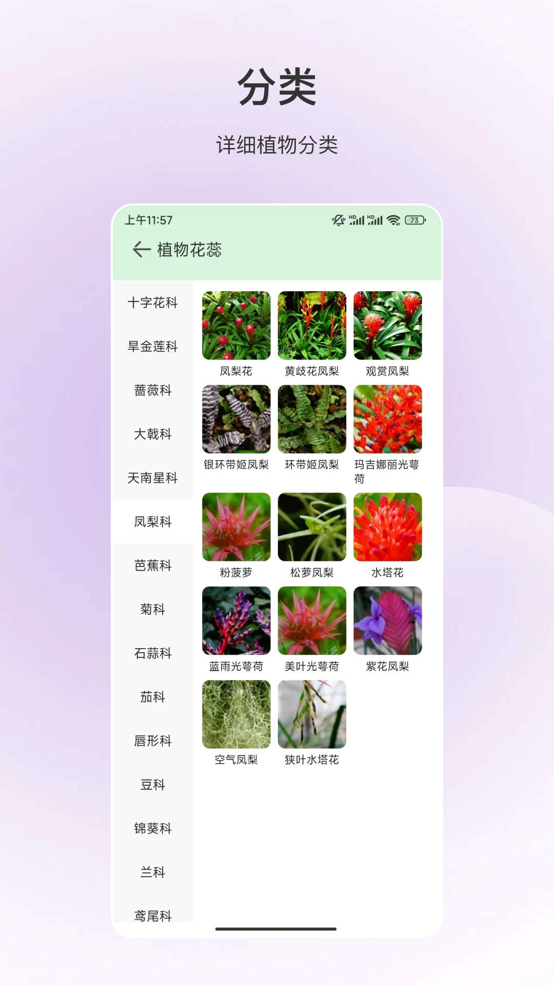 动物识别图3