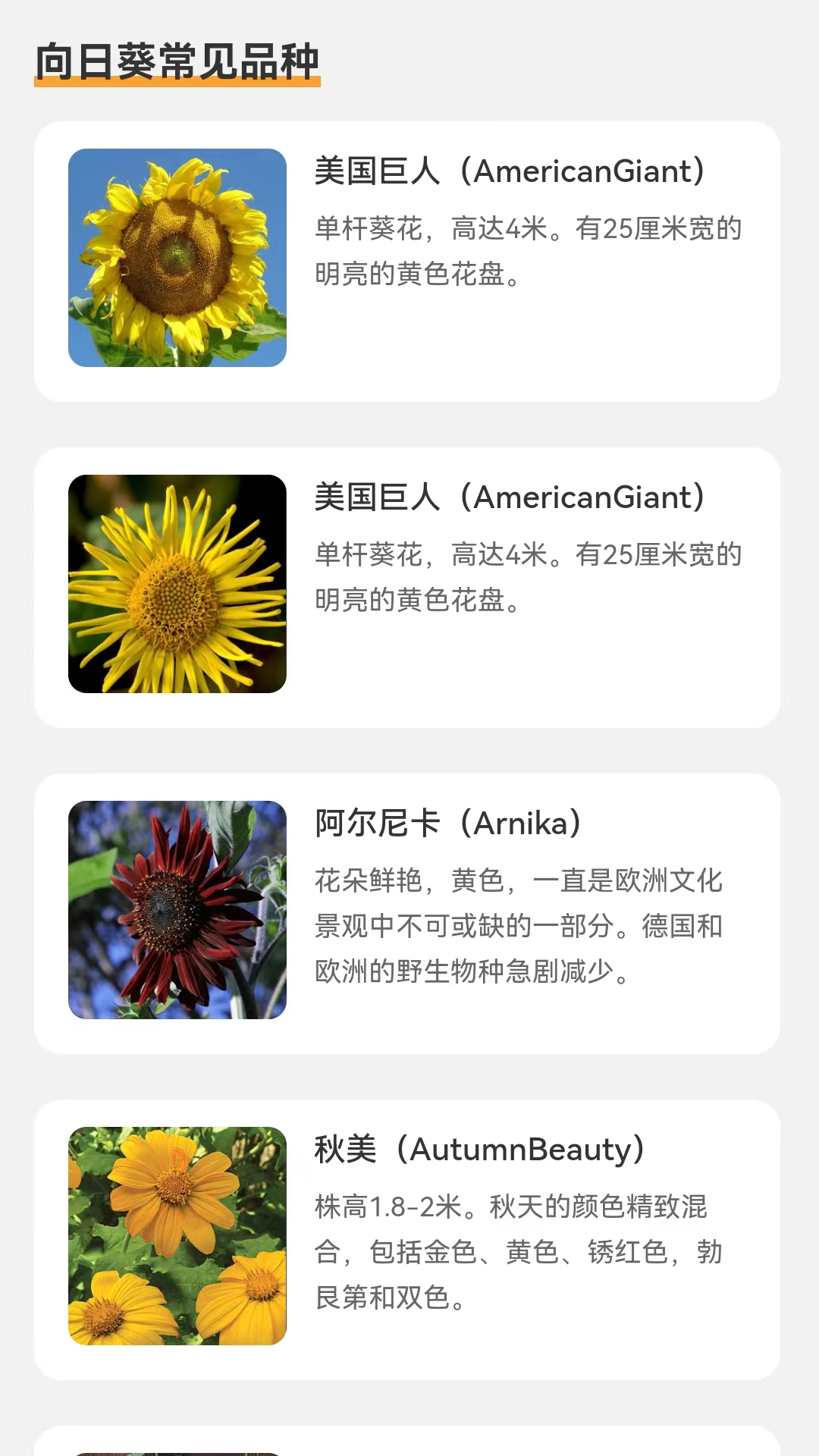 向阳流量手机正版图1