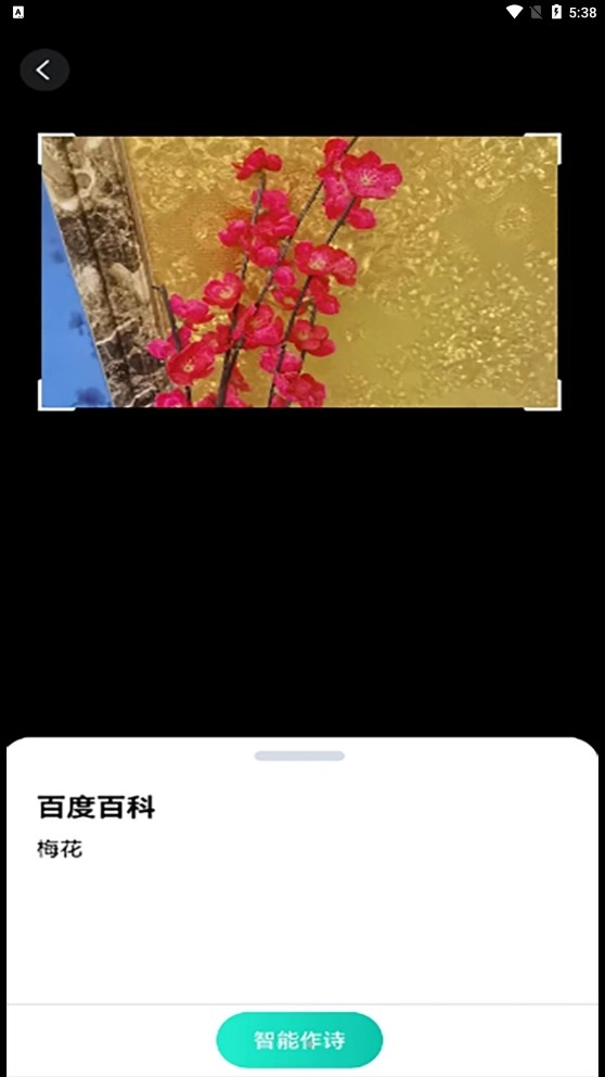 趣萌识别免费原版图3