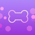 问答王手机最新版