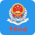 北京电子税务局