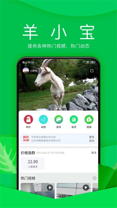 羊小宝免费原版图1