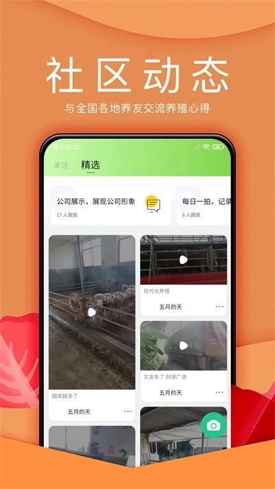 羊小宝免费原版图3