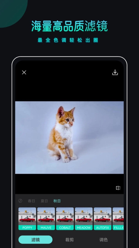 PicsDazz修图水印最新版图1