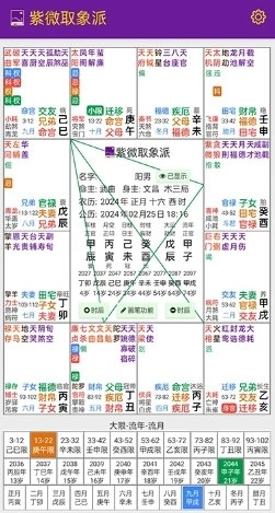 紫微取象派手机最新版图3