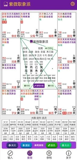 紫微取象派手机最新版图4