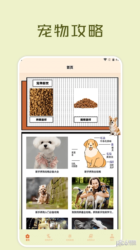 宠物小组件盒子直装版图2