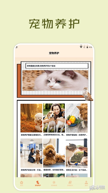 宠物小组件盒子直装版图3