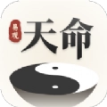 易观天命