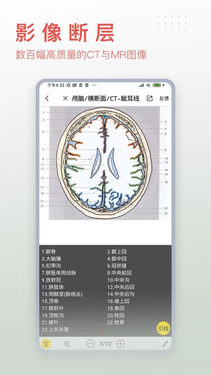 3dbody解剖学安卓官方版图3