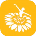 dance零基础教学官方正版