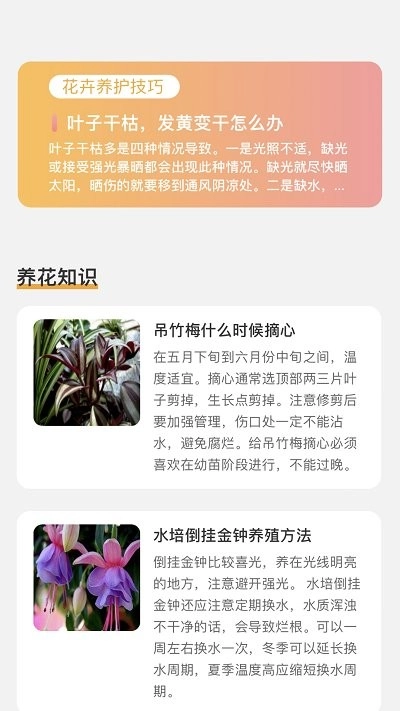 百花悦看手机免费版图1