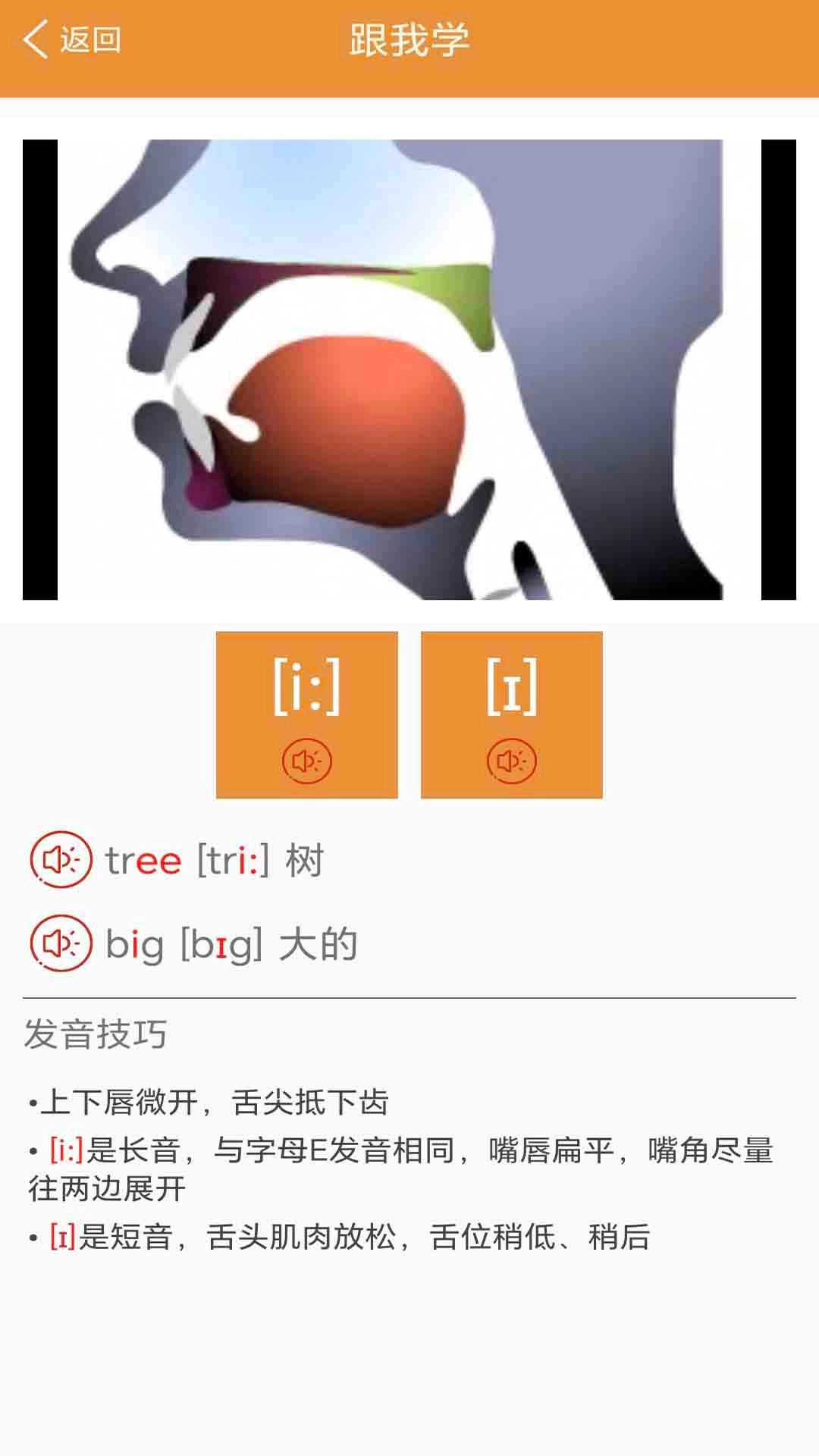 大猫英语国际音标直装版图2