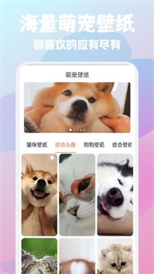 猫狗语宠物翻译器无广告版图1