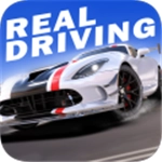 真实公路汽车2单机