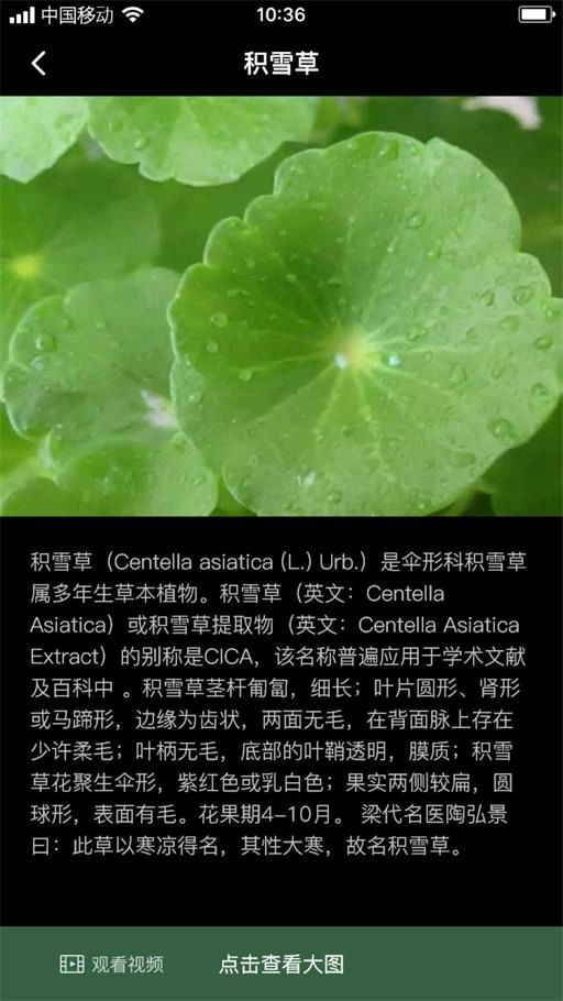 积学草手机正版图2
