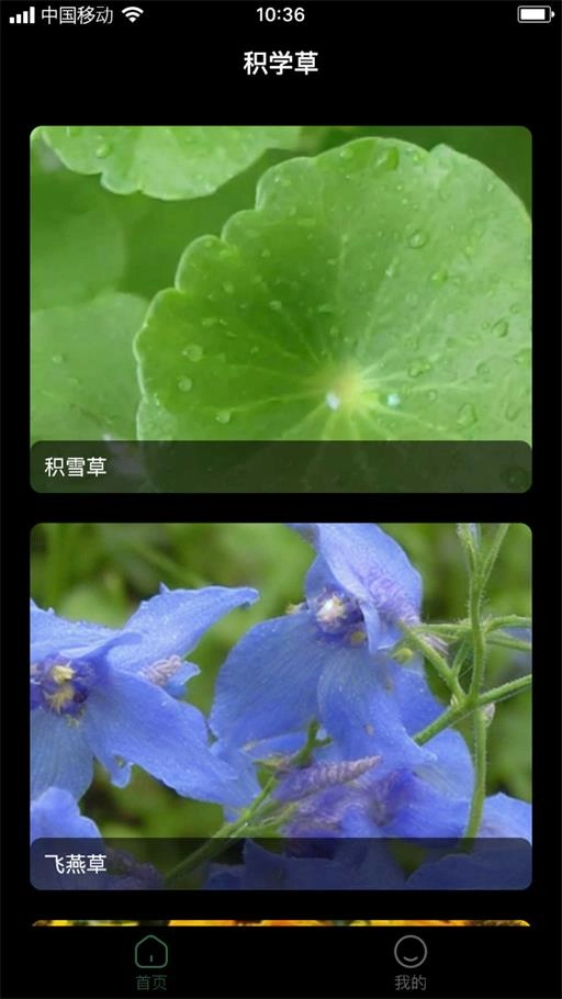 积学草手机正版图3