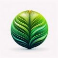 网纹草直装版