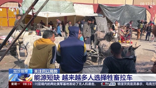 巴豆侠TV安卓版图1