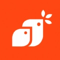 喜播教育最新免费版