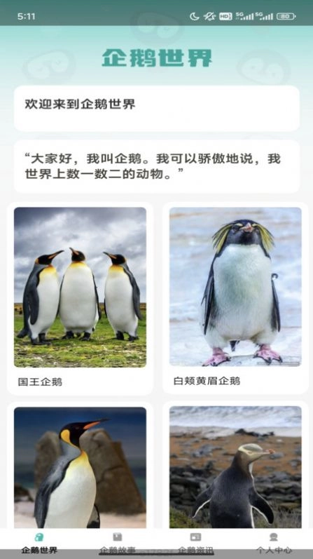企鹅妙看直装版图2