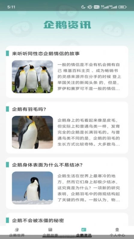 企鹅妙看直装版图3