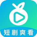滨果大全无广告版