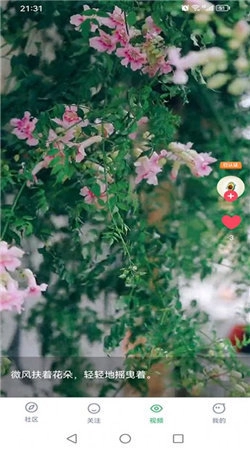 蓝猫短视频正版图2