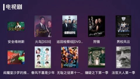 便宜TV直装版图3