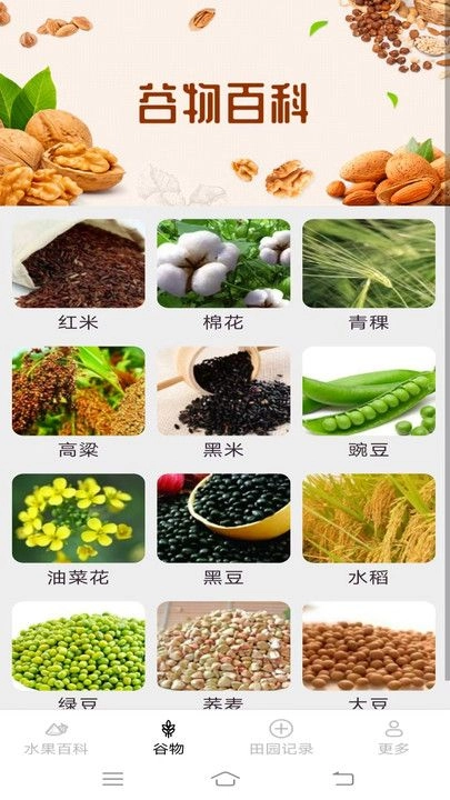 掌上果果多安卓直装版图1