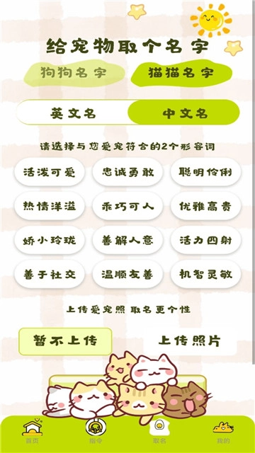 宠物翻译王直装版图3