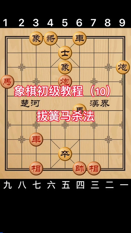 天天学象棋安卓版图3