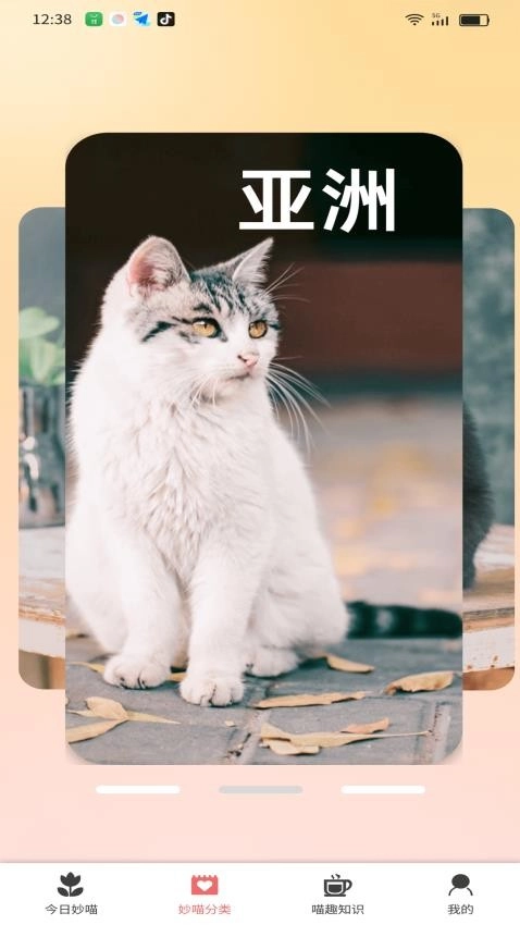 妙喵乐看直装版图1