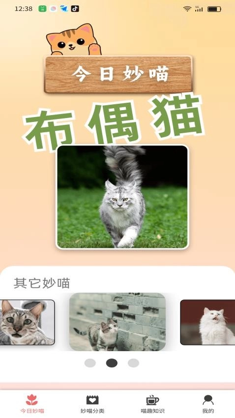妙喵乐看直装版图3