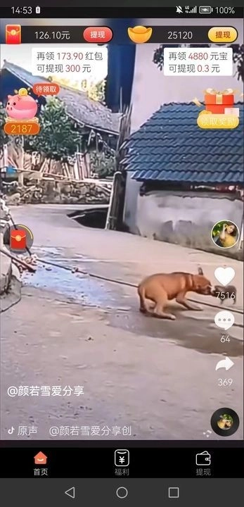 柴卡喵直装版图1
