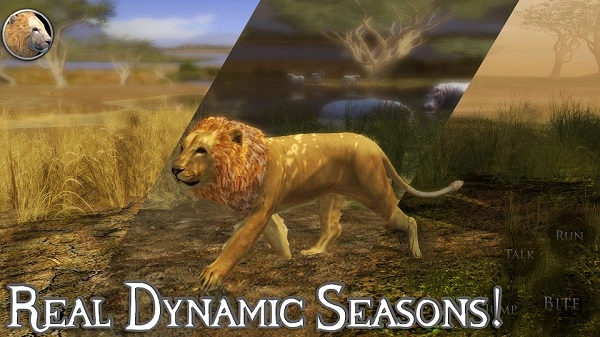 终极狮子模拟器2