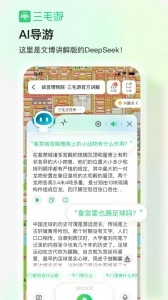 三毛游最新版